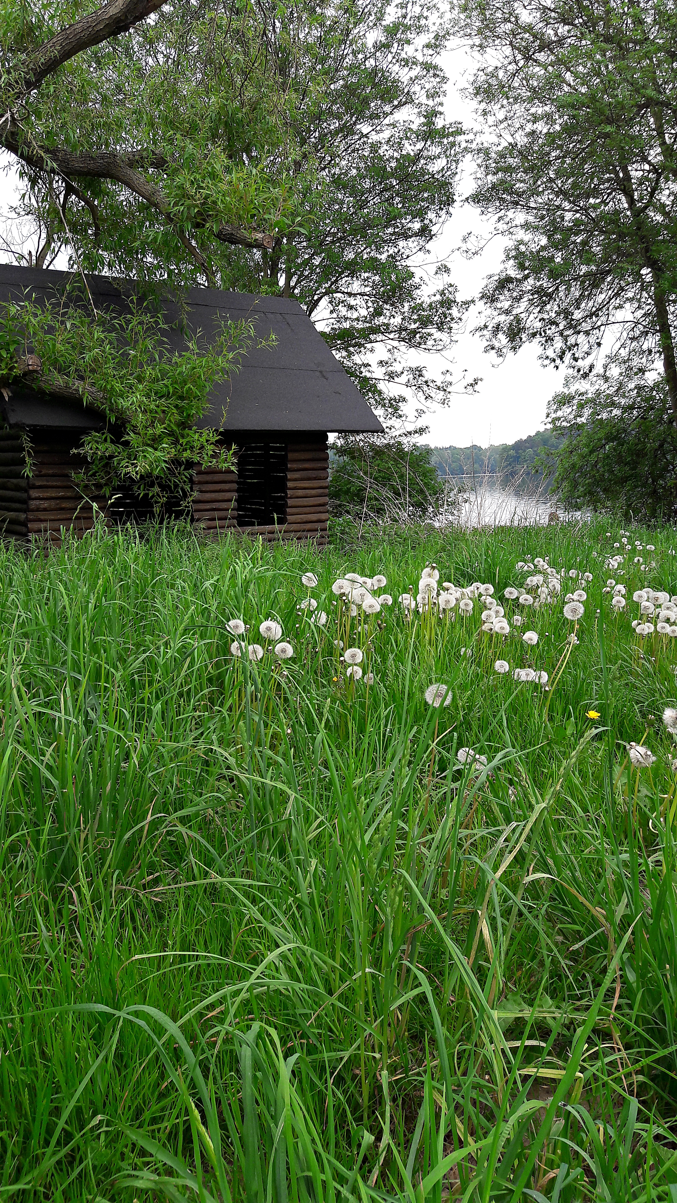 am Wolletzsee