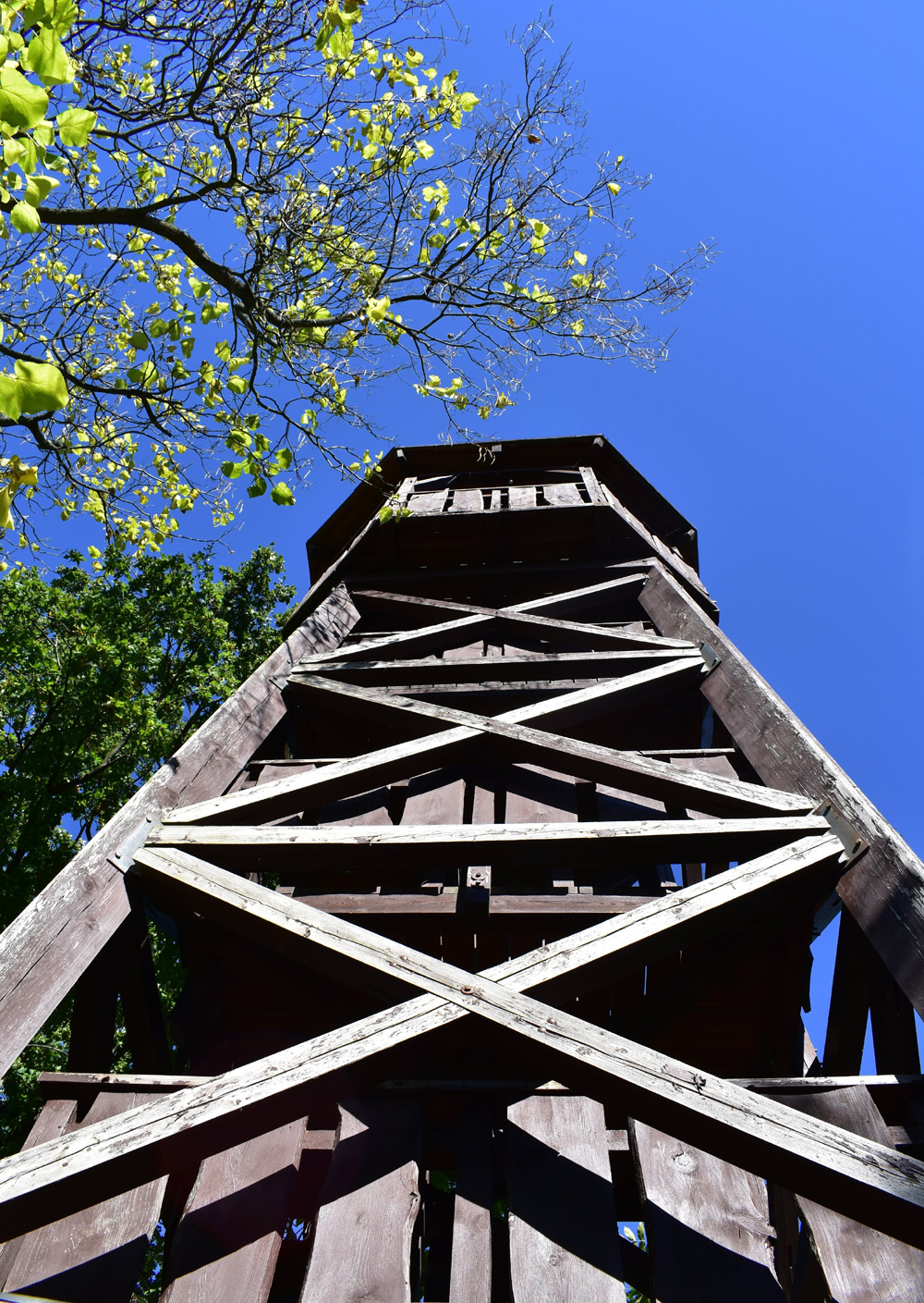 Eulenturm in Bad Freienwalde