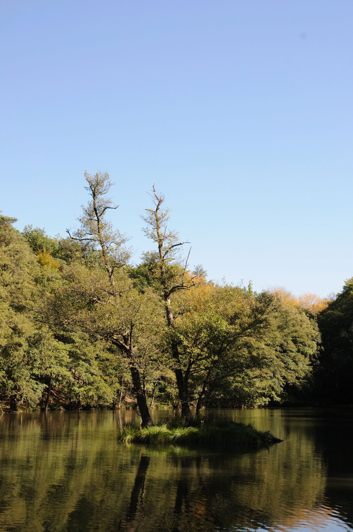 Teufelssee bei Bad Freinewalde