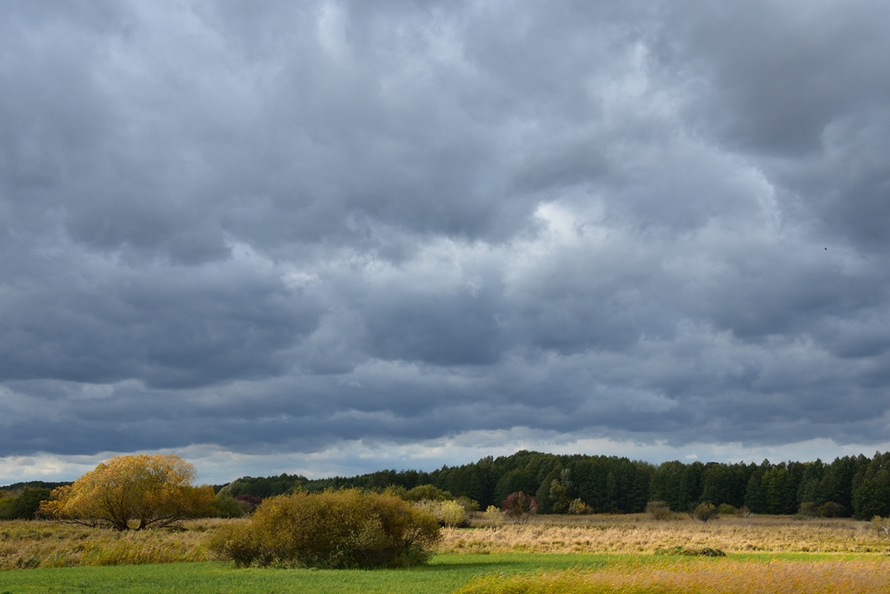 Sernitzmoor in der Uckermark