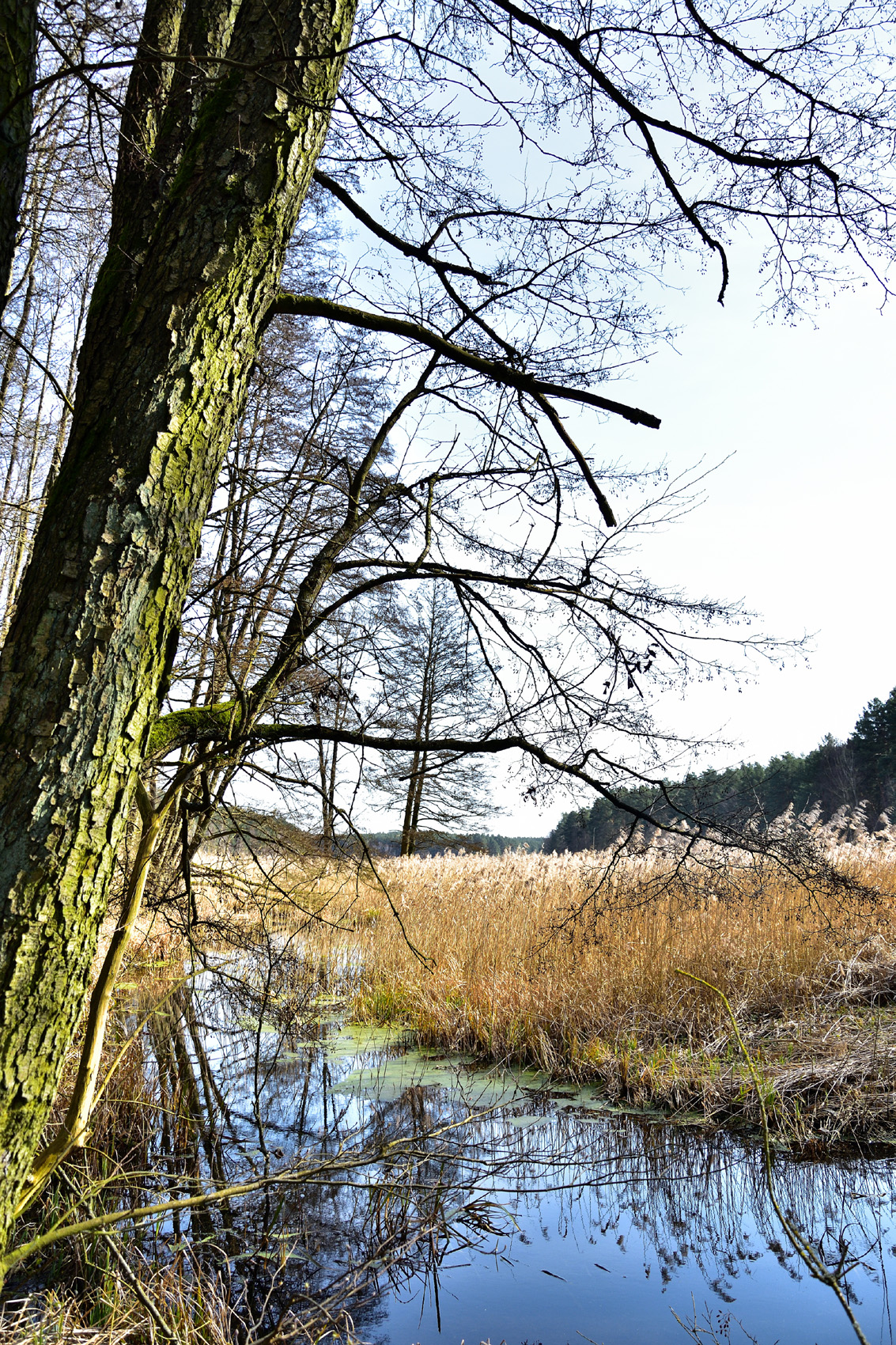 Blick auf das Bollwinfliess 