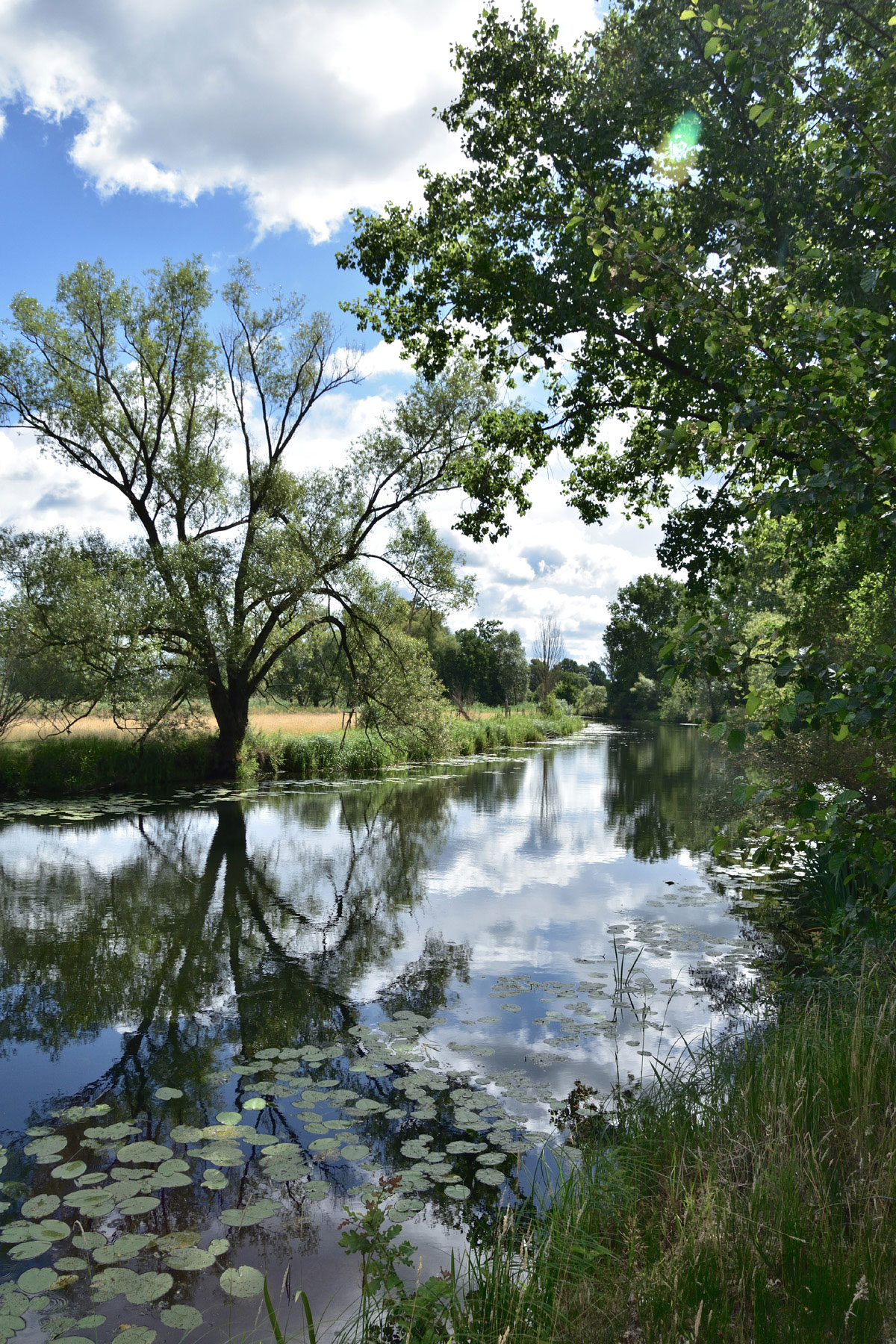 Oder-Spree, Wegesammler Brandenburg