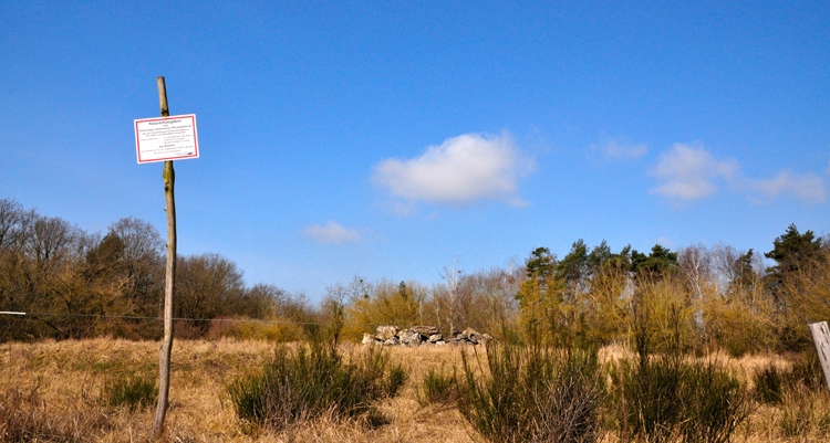 alter Bunker in der Doeberitzer Heide