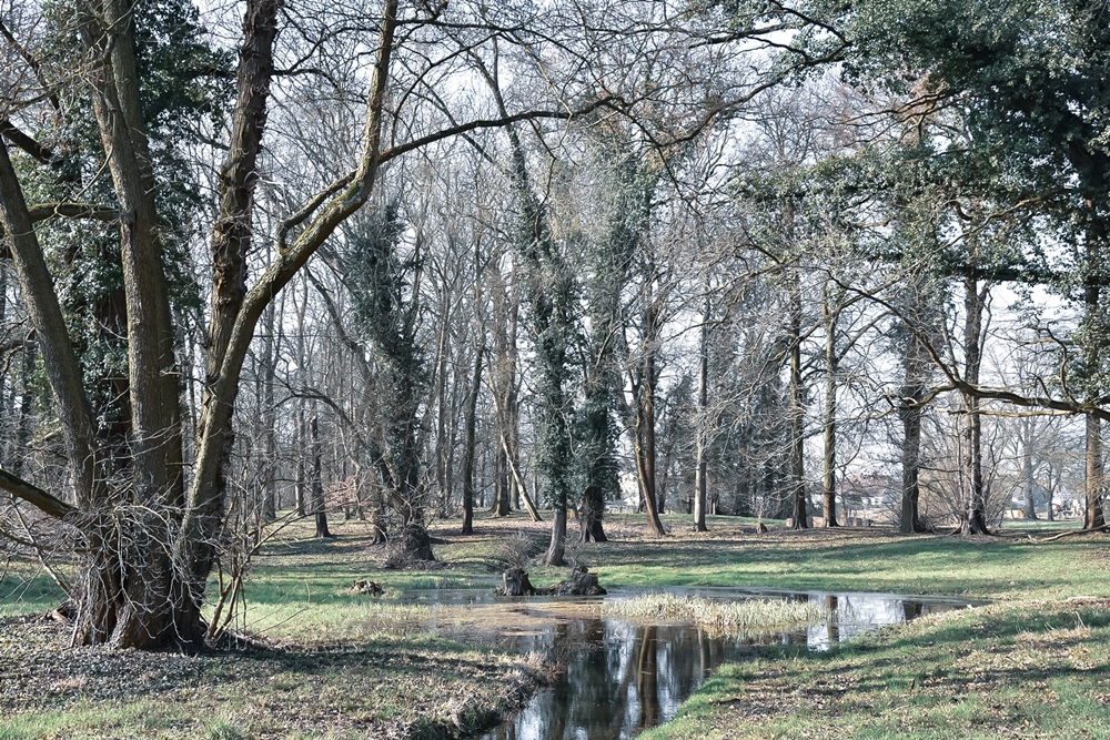 im Lenné-Park Blumberg