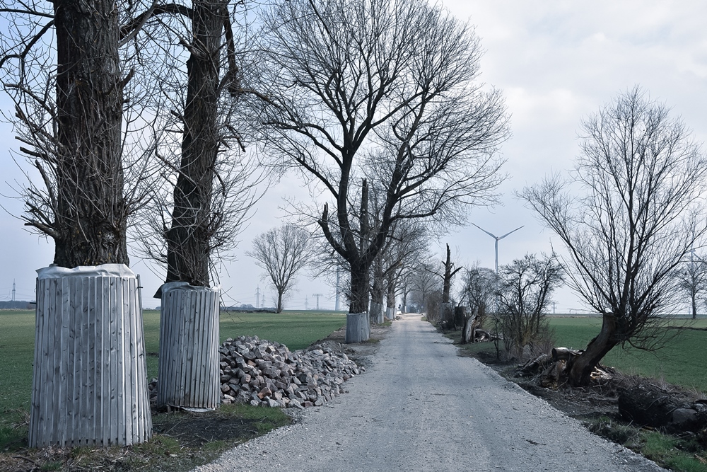 Feldweg im Bau