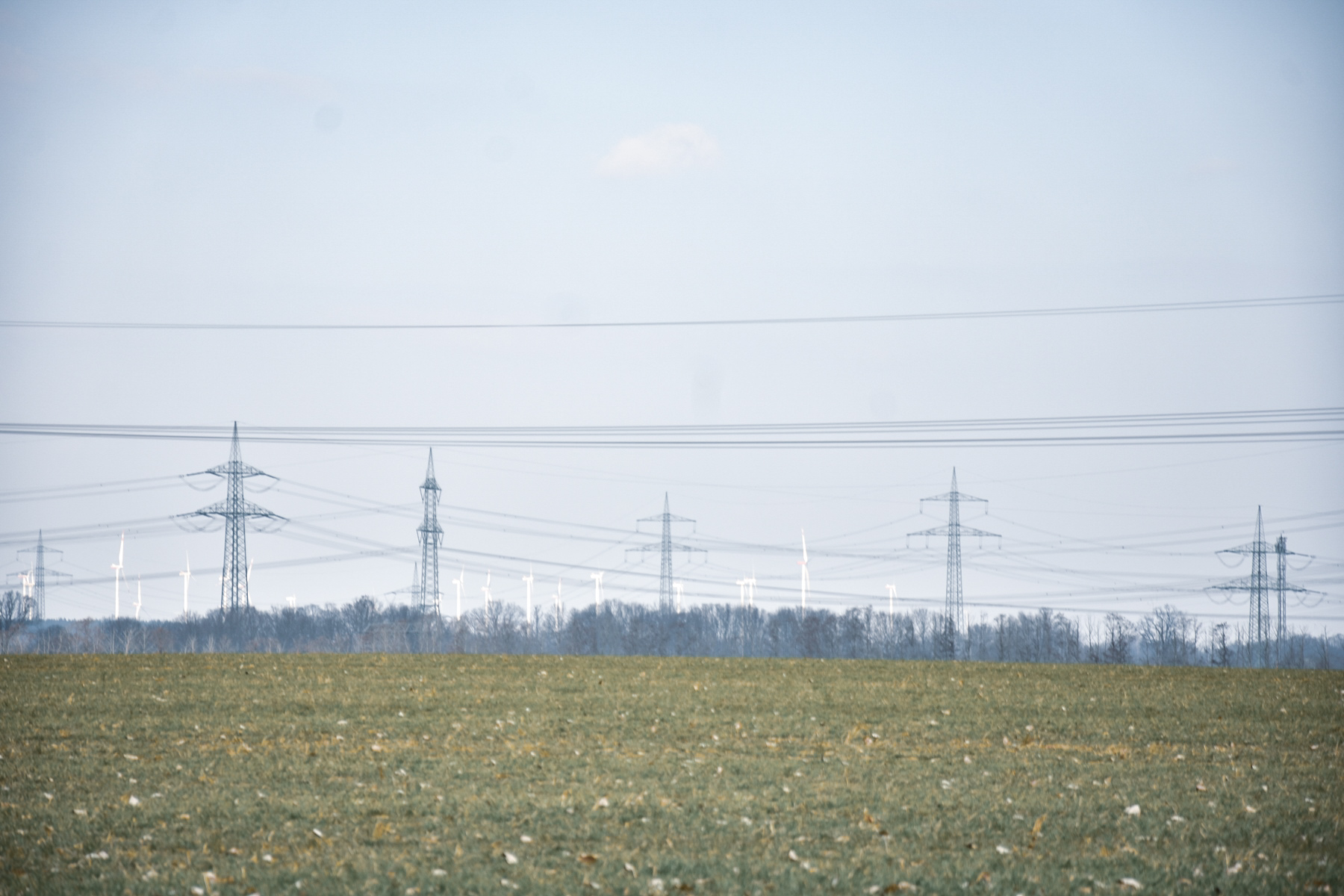 Windräder und Strommasten im Barnim