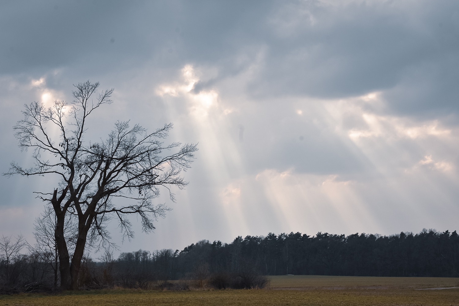 Sonnenstrahlen durchbrechen die Wolken